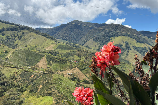 Colombia: Fair Trade, Organic