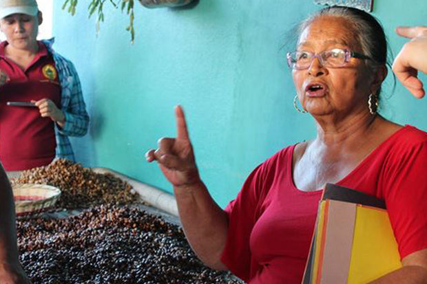 Honduras SOMSA "Manos De Mujer" - Organic