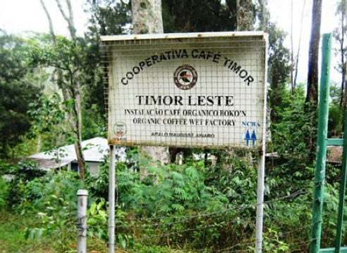EAST TIMOR · FAR EAST  INDONESIA  Organic Timor — CCT